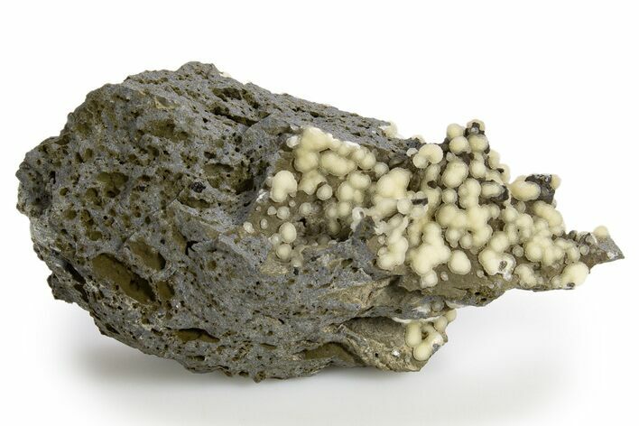 Globular Yellow Calcite Formations on Basalt - Italy #319200